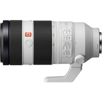 Sony FE 100-400mm f/4.5–5.6 gm OSS lens|